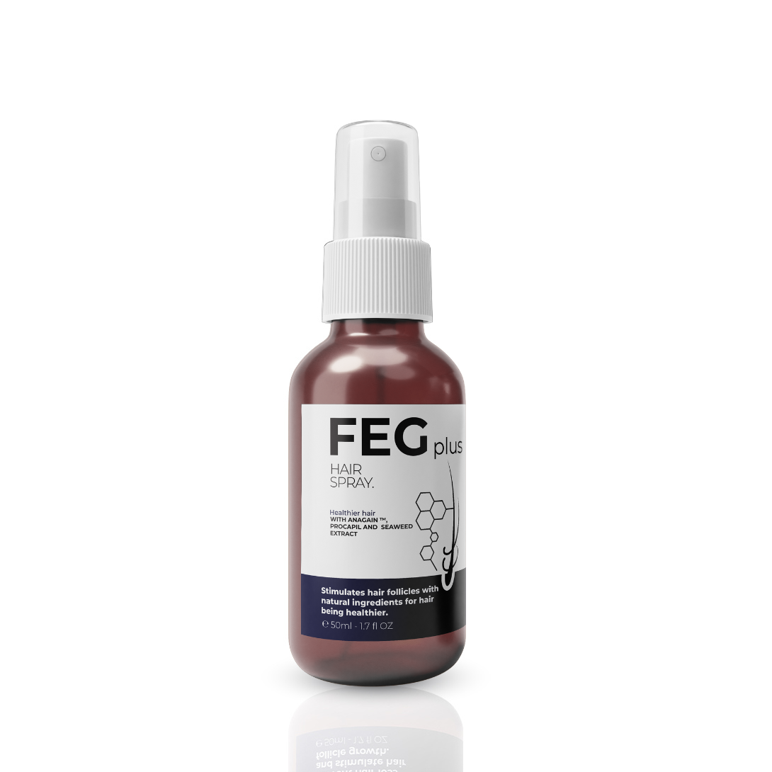 FEG Plus Hair Spray - arabtijarah