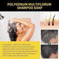 Natural Black Hair 3- IN-1 Dye Shampoo - arabtijarah
