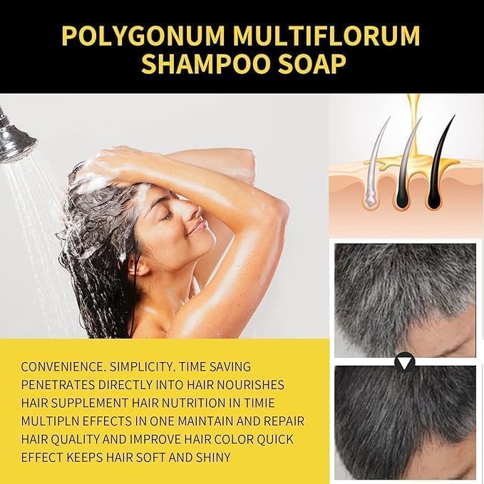Natural Black Hair 3- IN-1 Dye Shampoo - arabtijarah