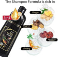 Natural Black Hair 3- IN-1 Dye Shampoo - arabtijarah