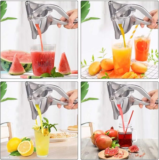 Manual Fruit Press - arabtijarah
